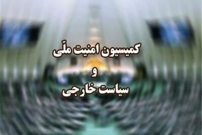  کمیسیون امنیت ملی جلسه فوق‌العاده تشکیل می‌دهد