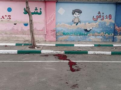  آخرین آمار دانش‌آموزان و معلمان شهید و مجروح در کشور اعلام شد