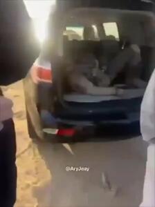  ویدیویی از خلبان سقوط کرده جنگنده آمریکایی در کویت