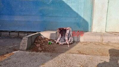 اولین تصاویر منتشر شده از  ۱۶۸ تابوت دختران پرپر شده میناب! + فیلم