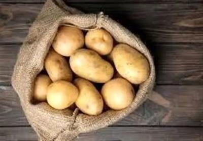 تشکیل پرونده قضایی برای گران فروشی سیب زمینی