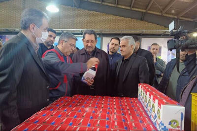  وزیر صمت از خطوط تولید بازدید کرد