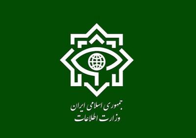  اطلاعیه وزارت اطلاعات: با مزدوران داخلی به عنوان «سرباز اسرائیلی» برخورد قاطعانه می‌شود