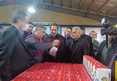  بازدید میدانی وزیر صمت از خطوط تولید - تسنیم