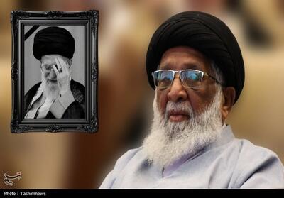  رئیس وفاق المدارس الشیعه پاکستان:امام خامنه‌ای رهبر آزادگان جهان بودند - تسنیم