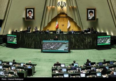  نظارت مجلس بر تامین و توزیع کالاهای اساسی - تسنیم