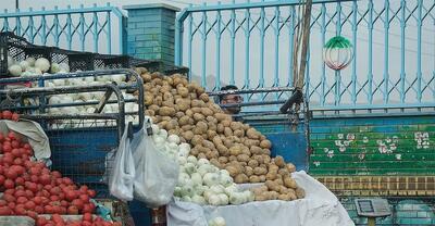 سقوط آزاد قیمت سیب زمینی پس از ممنوعیت صادرات