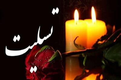  پیام‌های تبریک و تسلیت رئیس جهاددانشگاهی در پی شهادت خانواده رهبر شهید