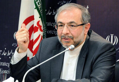 انتقاد یک دیپلمات پیشین از هند: سفیر هند در تهران می‌داند شخصا برای دانشجویان هندی چقدر تلاش کردم