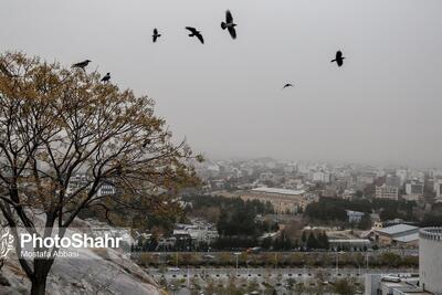  پیش‌بینی هواشناسی مشهد و خراسان رضوی امروز (پنجشنبه، ۱۴ اسفند ۱۴۰۴) | افزایش نسبی دمادر روز‌های ابتدایی هفته آینده