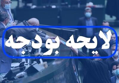  جلسات نمایندگان مجلس با تدابیر ویژه انجام می‌شود - تسنیم