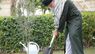  کاشت هزار نهال به یاد رهبر شهید انقلاب در یزد