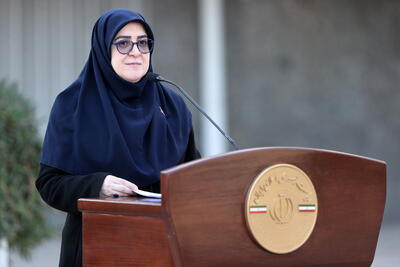  سخنگوی دولت: تخریب ۳۰۹۰ واحد مسکونی و ۱۳ واحد درمانی براثر حمله