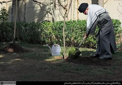  درختکاری نماد امید به آینده و تداوم راه شهدا است