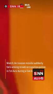  فرار گله خوک‌ها بعد اصابت موشک ایرانی! + فیلم