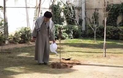  لحظاتی از آخرین کاشت نهال توسط رهبر شهید انقلاب رضوان‌الله‌علیه در روز درختکاری سال گذشته