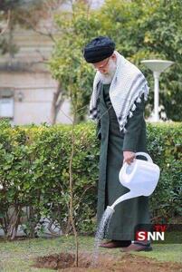  امروز ۹ صبح؛ ایران نهال می‌کارد/ دعوت برای حضور در پویش «به یاد سرو، به نام ایران»