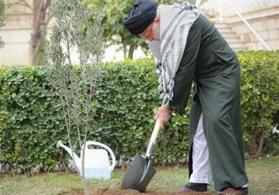  کاشت 1000 نهال در یزد به یاد رهبر شهید انقلاب - تسنیم