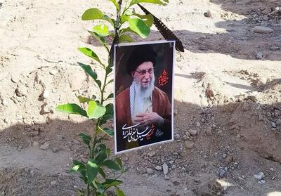  برگزاری پویش ملی «سرو ایران» همزمان با روز درختکاری - تسنیم