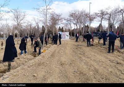  12300 اصله درخت در استان سمنان به یاد رهبر شهید کاشته شد - تسنیم
