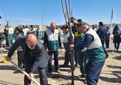  غرس نهال مقاومت در خراسان جنوبی/راه شهید با آبادانی کشور ادامه دارد - تسنیم