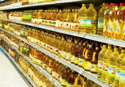  توجه ویژه به آبرسانی روستاها و تأمین سوخت مناطق کوهستانی - تسنیم