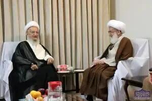  تاکید آیات عظام مکارم شیرازی و نوری همدانی بر تسریع در انتخاب رهبری