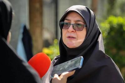  سخنگوی دولت: مشکلی در تامین انرژی و کالاهای اساسی نداریم