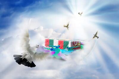  شهادت دانشجوی نخبه دکتری در پی حملات اخیر