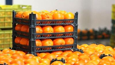  عرضه میوه شب عید ۱۵ تا ۲۰ درصد کمتر از نرخ بازار