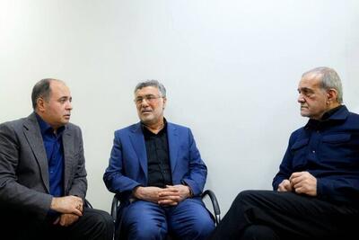  رییس جمهور: امنیت غذایی، خط مقدم پایداری ملی است/ درمان و توانبخشی مصدومان جنگ تسریع شود