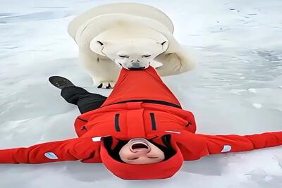  معماری طبیعت؛ خرس قطبی مرد رو پاچه کشون برد بچه اش رو از مهلکه نجات بده