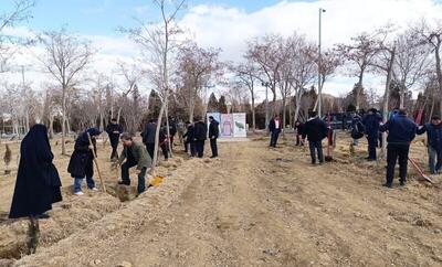  ۱۲۳۰۰ اصله درخت در استان سمنان به یاد رهبر شهید کاشته شد