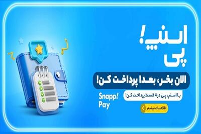  بازی «موش و گربه» اسنپ با بودجه مردم/ خداحافظی تلخ با خرید اعتباری