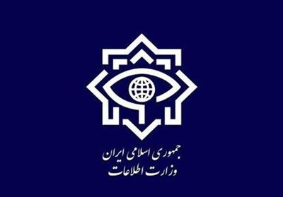  هشدار وزارت اطلاعات به کسانی که به شبکه های دشمن تصویر بفرستند - تسنیم