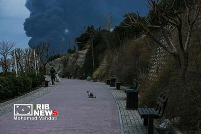  اطلاعیه مهم برای شهروندان درباره حملات دیشب