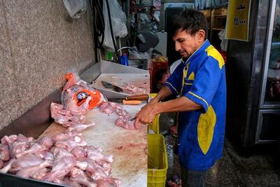  قیمت مرغ به 250 هزار تومان رسید