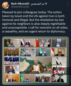  واکنش وزیر خارجه عمان به جلسه آنلاین اتحادیه عرب