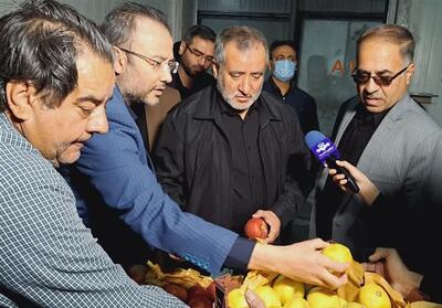  بازدید استاندار خراسان جنوبی از ذخایر کالاهای اساسی و روند تأمین سوخت - تسنیم