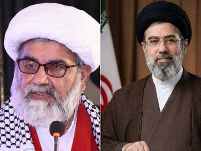  رئیس حزب شیعیان پاکستان انتخاب رهبر جدید را به ملت ایران تبریک گفت