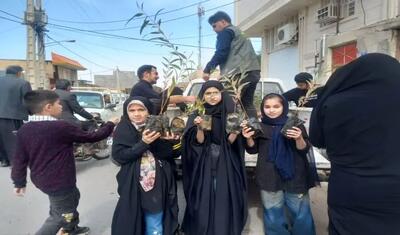  ۲۵ میلیون اصله نهال آماده توزیع در میان مردم است