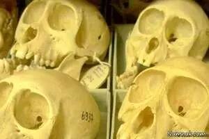  «سحابی جمجمه» در دل آسمان تاریک +عکس