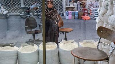  مردم نگران تامین برنج نباشند