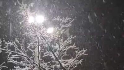  لحظاتی از بارش برف شبانگاهی در تهران