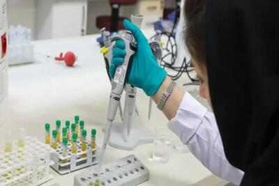  آزمون جامع داروسازی به بهار سال ۱۴۰۵ موکول شد