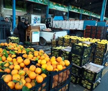  ذخیره سازی ۴۵۰ تن میوه شب عید در استان کردستان/زمان توزیع آخر هفته جاری