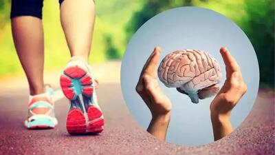  زوال عقل در کمین است؛ اگر... | داستان یک تحقیق طولانی