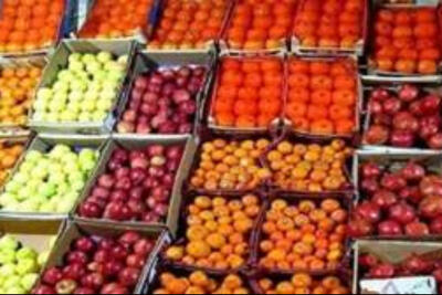  میوه‌های شب عید از امروز توزیع می‌شود