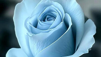  فال ابجد امروز چهارشنبه 20 اسفند 1404