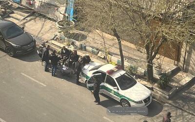  این تصویر را برای جهان وایرال کنید